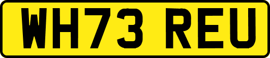 WH73REU