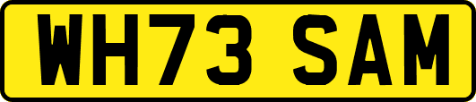 WH73SAM