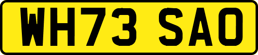 WH73SAO