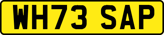 WH73SAP