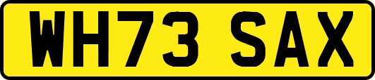 WH73SAX