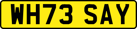 WH73SAY