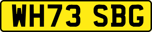WH73SBG