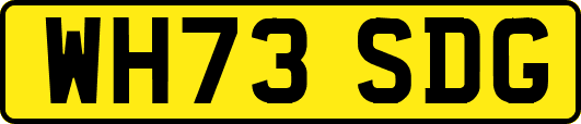 WH73SDG