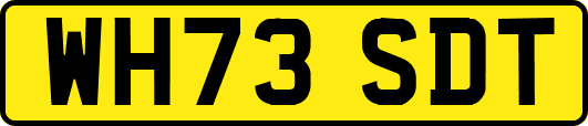 WH73SDT