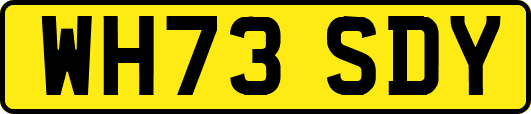 WH73SDY