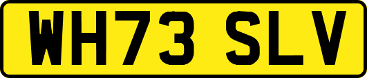 WH73SLV