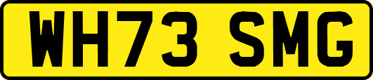 WH73SMG