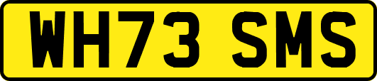 WH73SMS