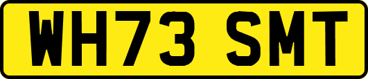 WH73SMT