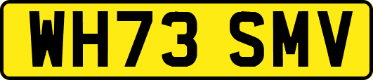 WH73SMV