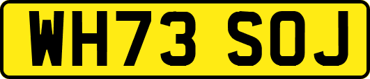 WH73SOJ