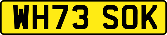 WH73SOK