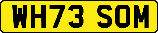 WH73SOM