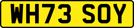 WH73SOY