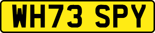 WH73SPY