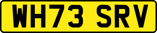 WH73SRV