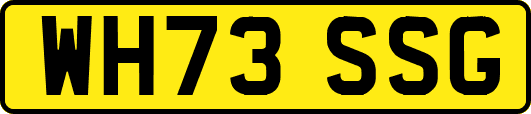 WH73SSG