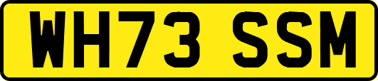 WH73SSM