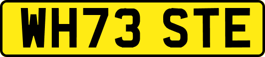 WH73STE