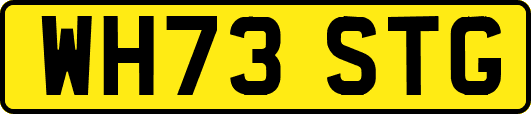 WH73STG