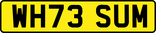 WH73SUM