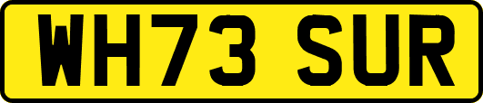 WH73SUR