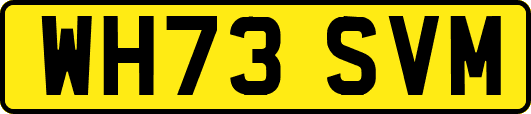 WH73SVM