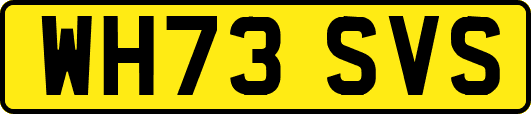 WH73SVS