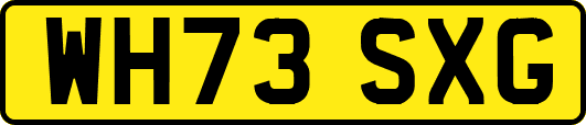 WH73SXG