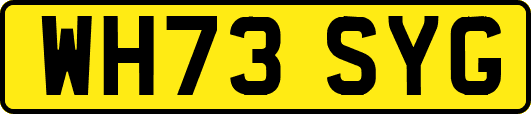WH73SYG