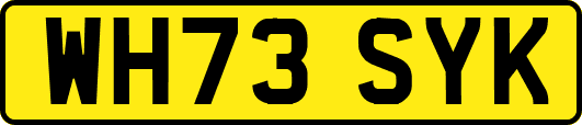WH73SYK