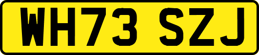 WH73SZJ