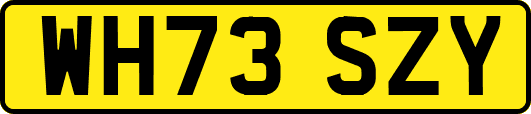 WH73SZY