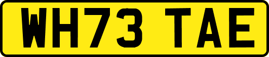 WH73TAE