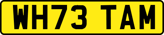 WH73TAM