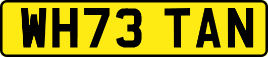 WH73TAN