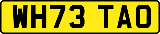 WH73TAO