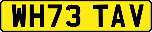 WH73TAV