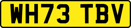 WH73TBV