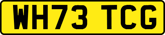 WH73TCG