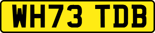 WH73TDB