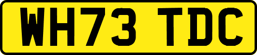 WH73TDC