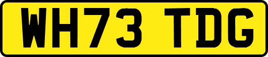 WH73TDG