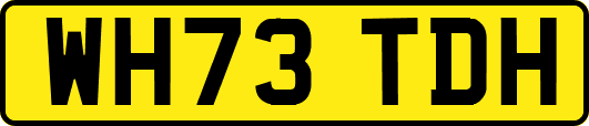 WH73TDH