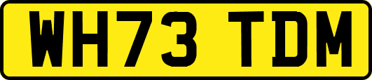 WH73TDM