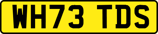 WH73TDS