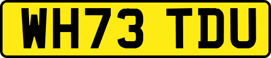 WH73TDU