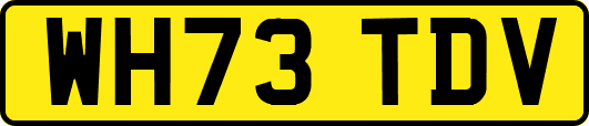 WH73TDV