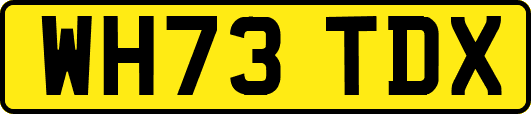 WH73TDX